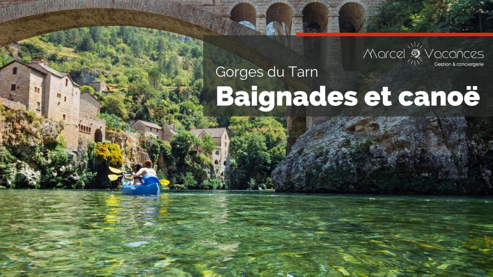 Gorges Du Tarn Gite En Pierres Avec Terrasse Quezac  Bagian luar foto